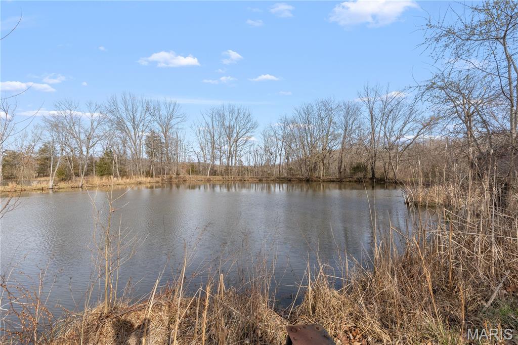1733 Schluersburg Road Augusta, MO 63332 - Photo 30 of 42