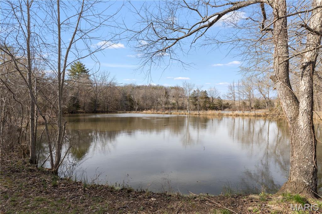 1733 Schluersburg Road Augusta, MO 63332 - Photo 31 of 42