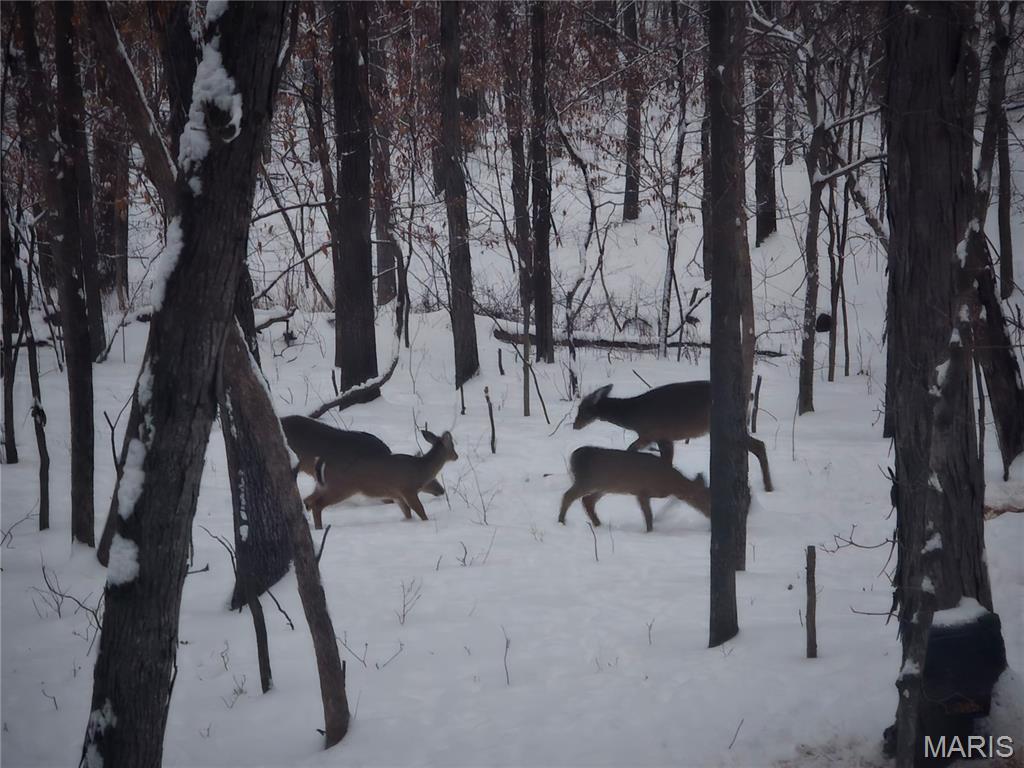 1733 Schluersburg Road Augusta, MO 63332 - Photo 39 of 42