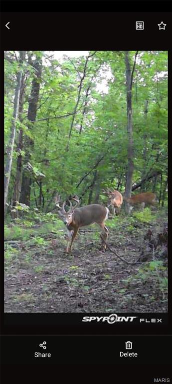 1733 Schluersburg Road Augusta, MO 63332 - Photo 40 of 42