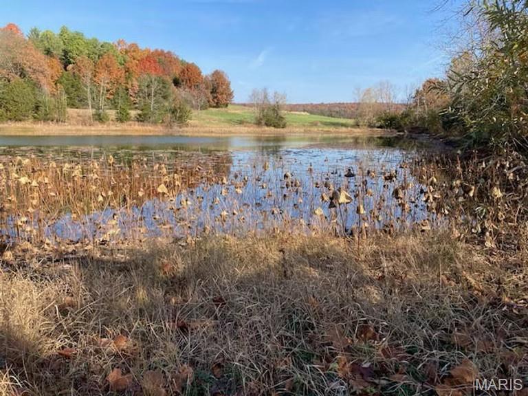 1733 Schluersburg Road Augusta, MO 63332 - Photo 4 of 42