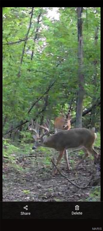 1733 Schluersburg Road Augusta, MO 63332 - Photo 41 of 42