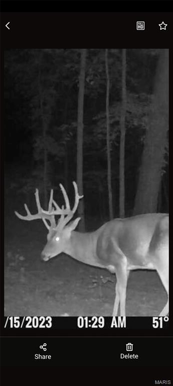 1733 Schluersburg Road Augusta, MO 63332 - Photo 42 of 42