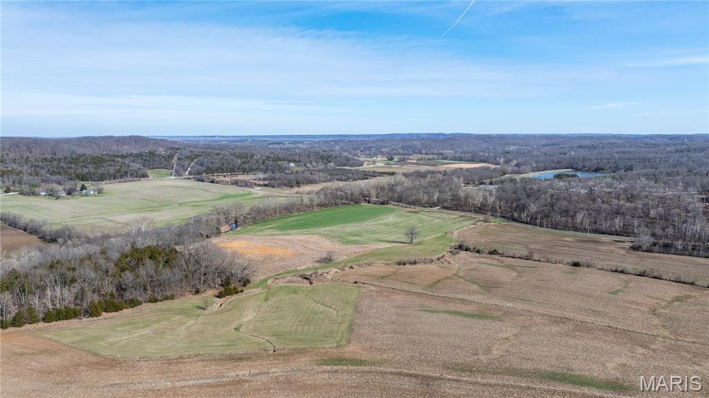 1733 Schluersburg Road Augusta, MO 63332 - Photo 5 of 42