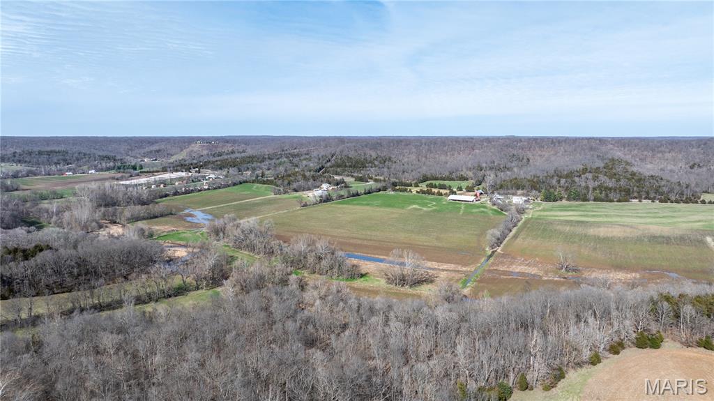 1733 Schluersburg Road Augusta, MO 63332 - Photo 6 of 42