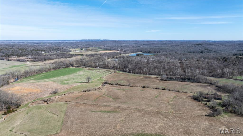 1733 Schluersburg Road Augusta, MO 63332 - Photo 7 of 42