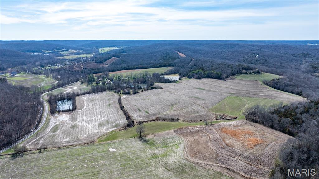1733 Schluersburg Road Augusta, MO 63332 - Photo 9 of 42