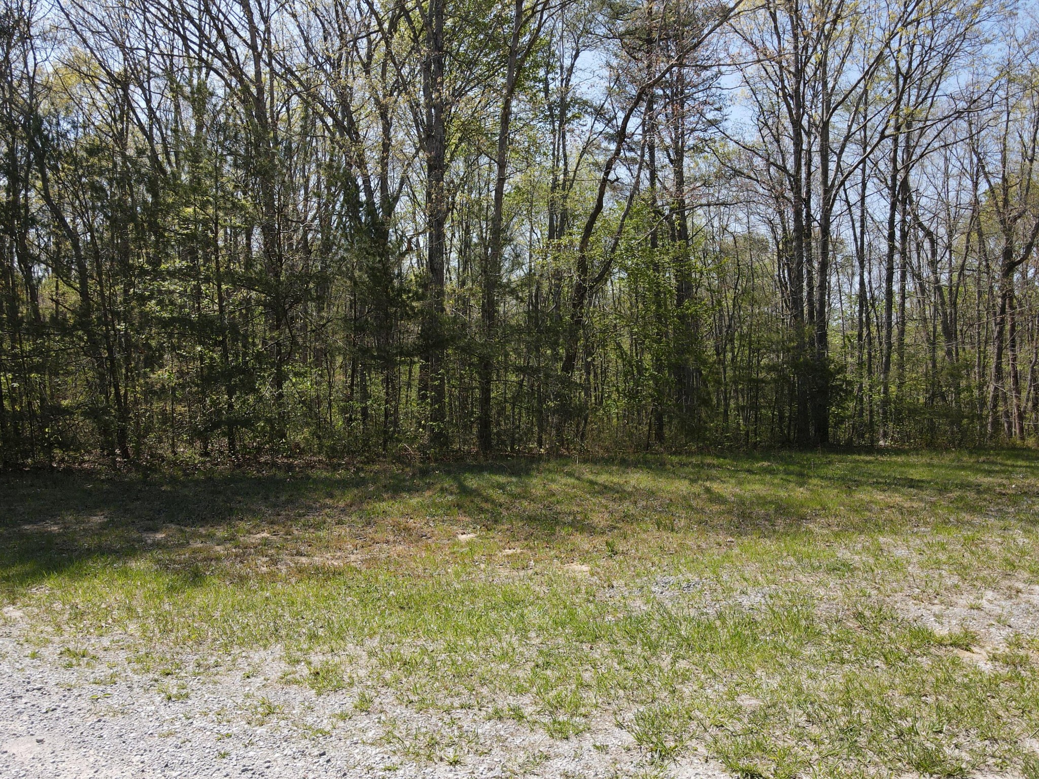 60 Hideaway Cabin Road Altamont, TN 37301 - Photo 18 of 31 Gallery Image 18