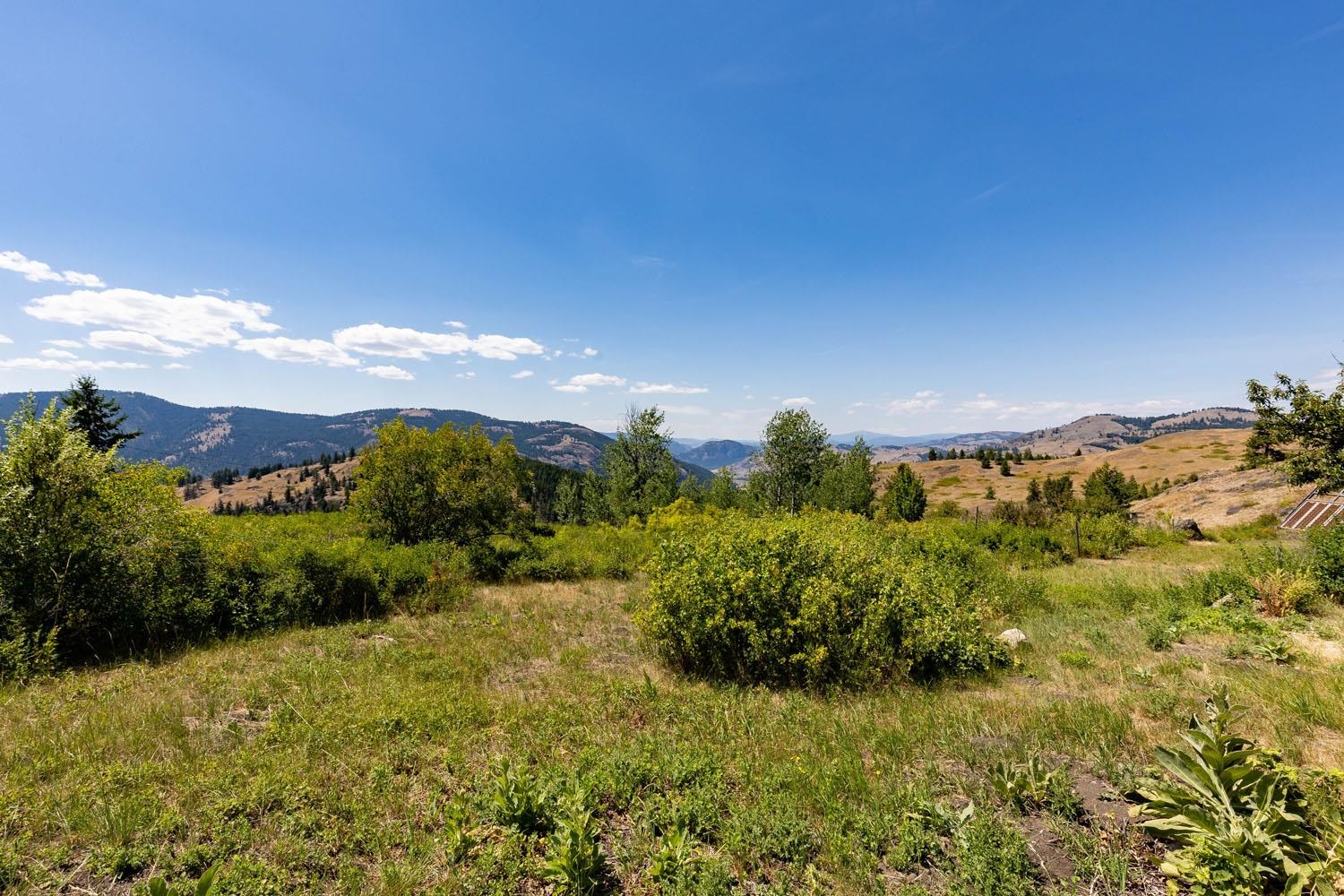 253 White Mountain Road Curlew, WA 99118 - Photo 34 of 49