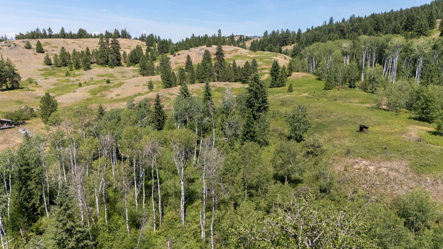 253 White Mountain Road Curlew, WA 99118 - Photo 44 of 49