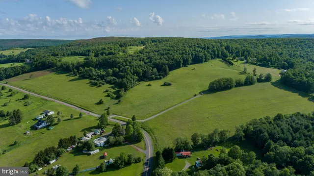 a view of a garden with a flower plants and large trees