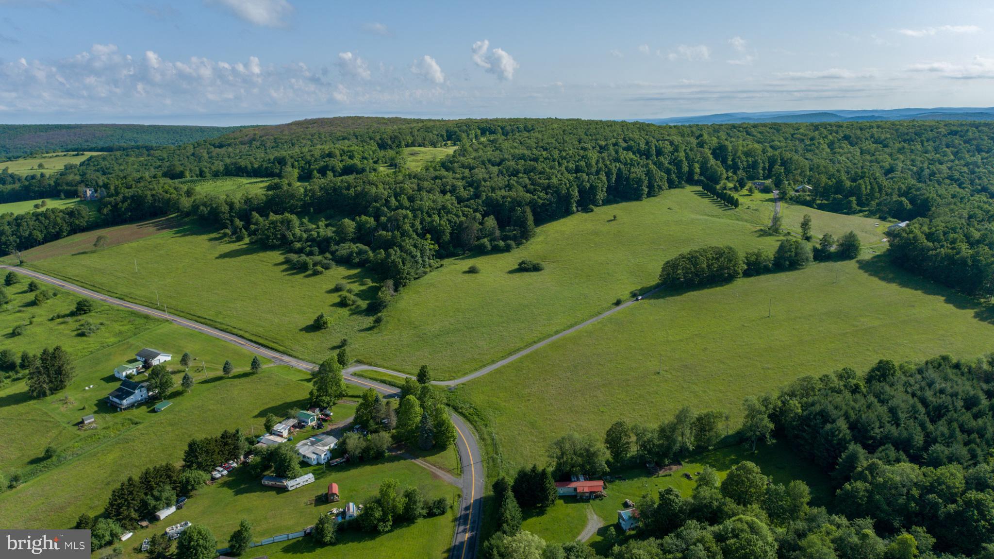 9-acres Cranesville Road Oakland, MD 21550 - Photo 4 of 10 a view of a garden with a flower plants and large trees