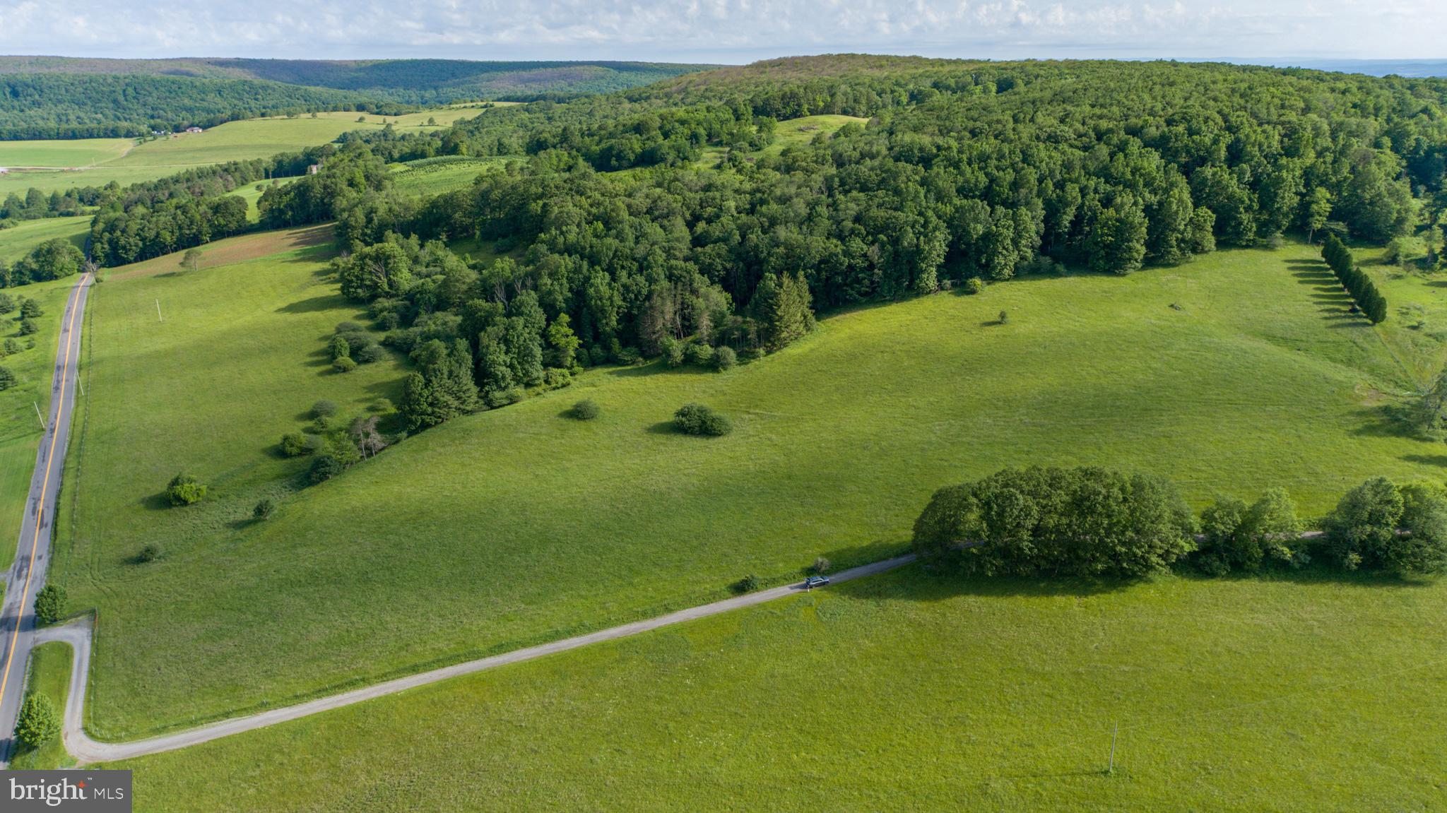 9-acres Cranesville Road Oakland, MD 21550 - Photo 6 of 10 a view of a lush green space