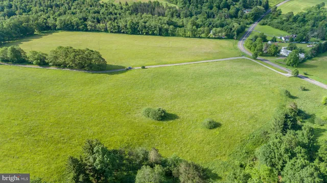 a view of a large yard with lots of green space