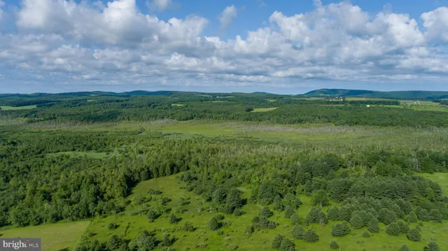 a view of a lush green field