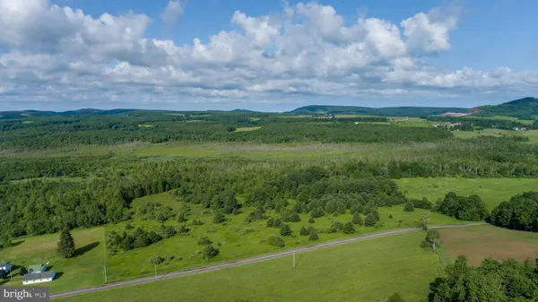 a view of a green field with lots of bushes