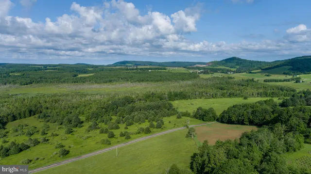 a view of a green field with lots of green space