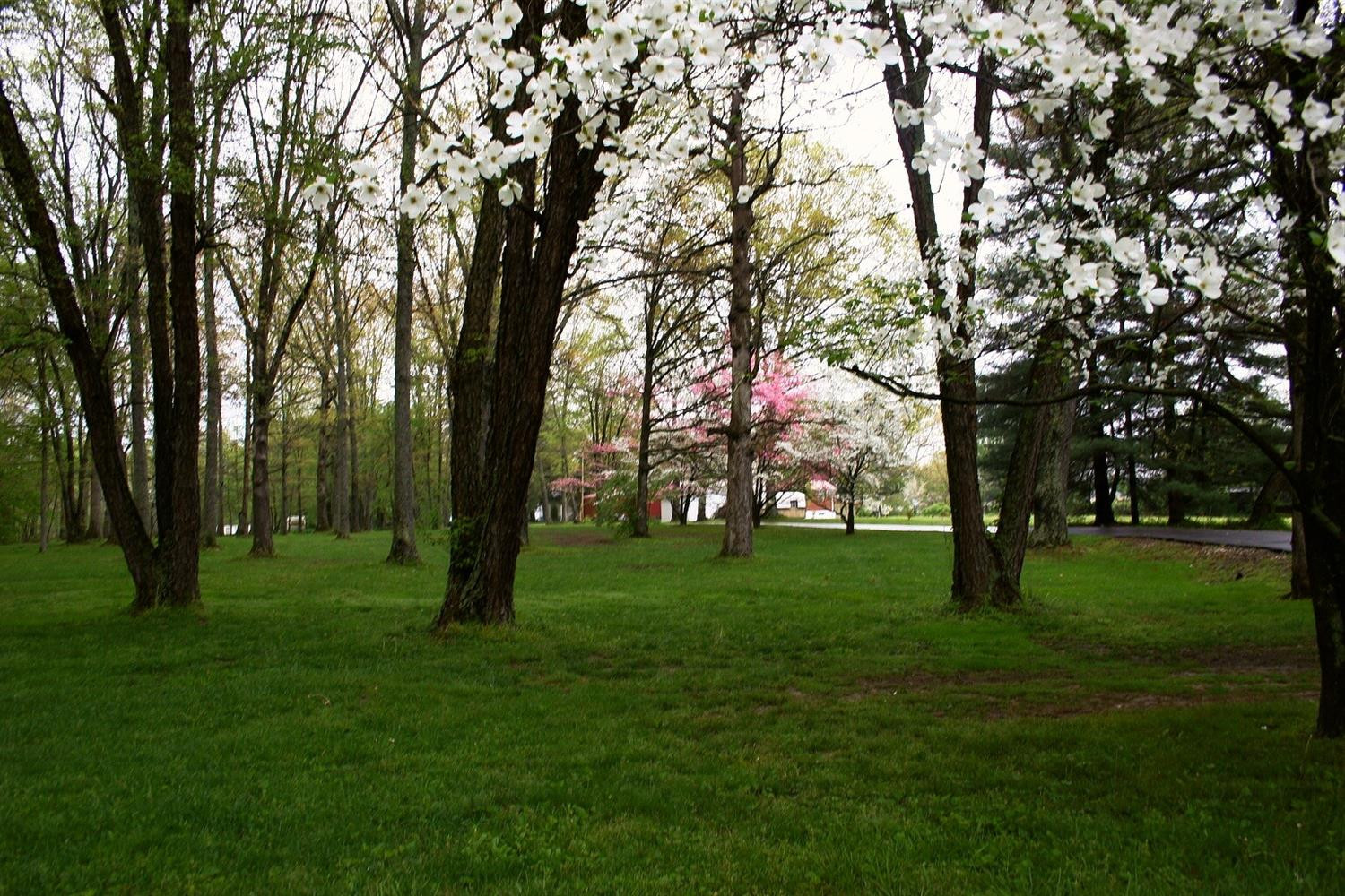 295 Forge Mill Road Clay City, KY 40312 - Photo 13 of 42 Photo 13