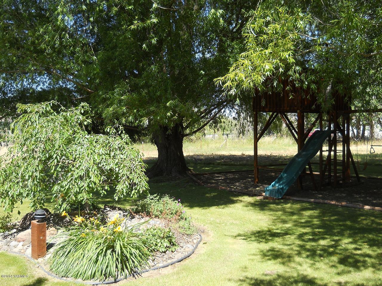 15601 Fisk Road Yakima, WA 98908 - Photo 31 of 58 a view of yard with tree in the background