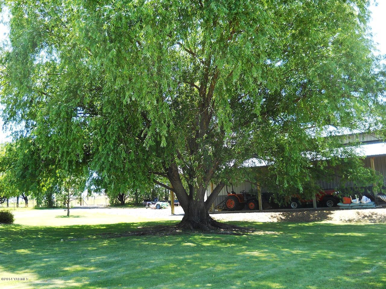 15601 Fisk Road Yakima, WA 98908 - Photo 41 of 58 a view of a trees