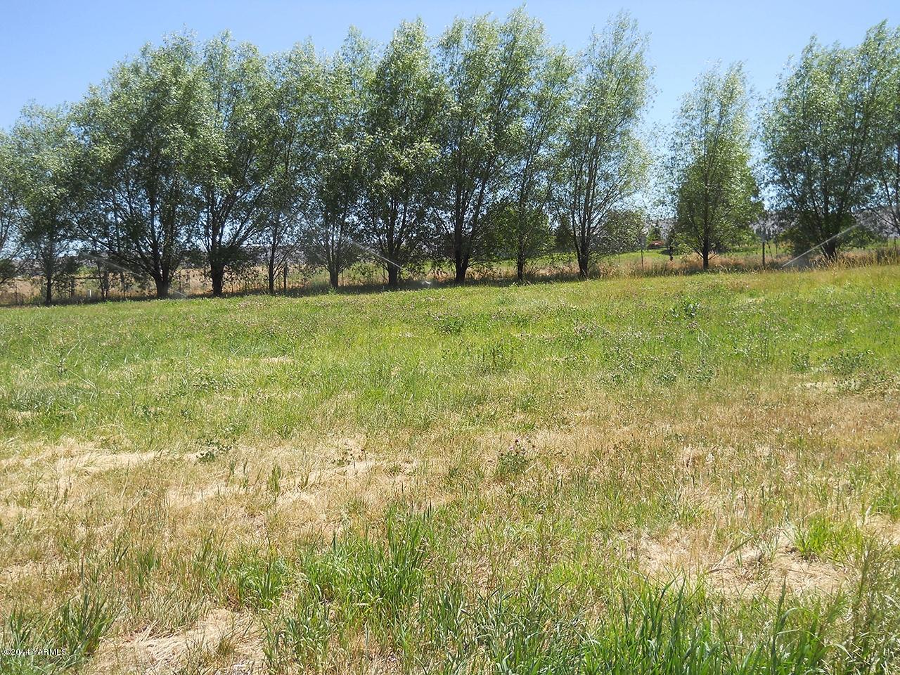 15601 Fisk Road Yakima, WA 98908 - Photo 47 of 58 a view of green field