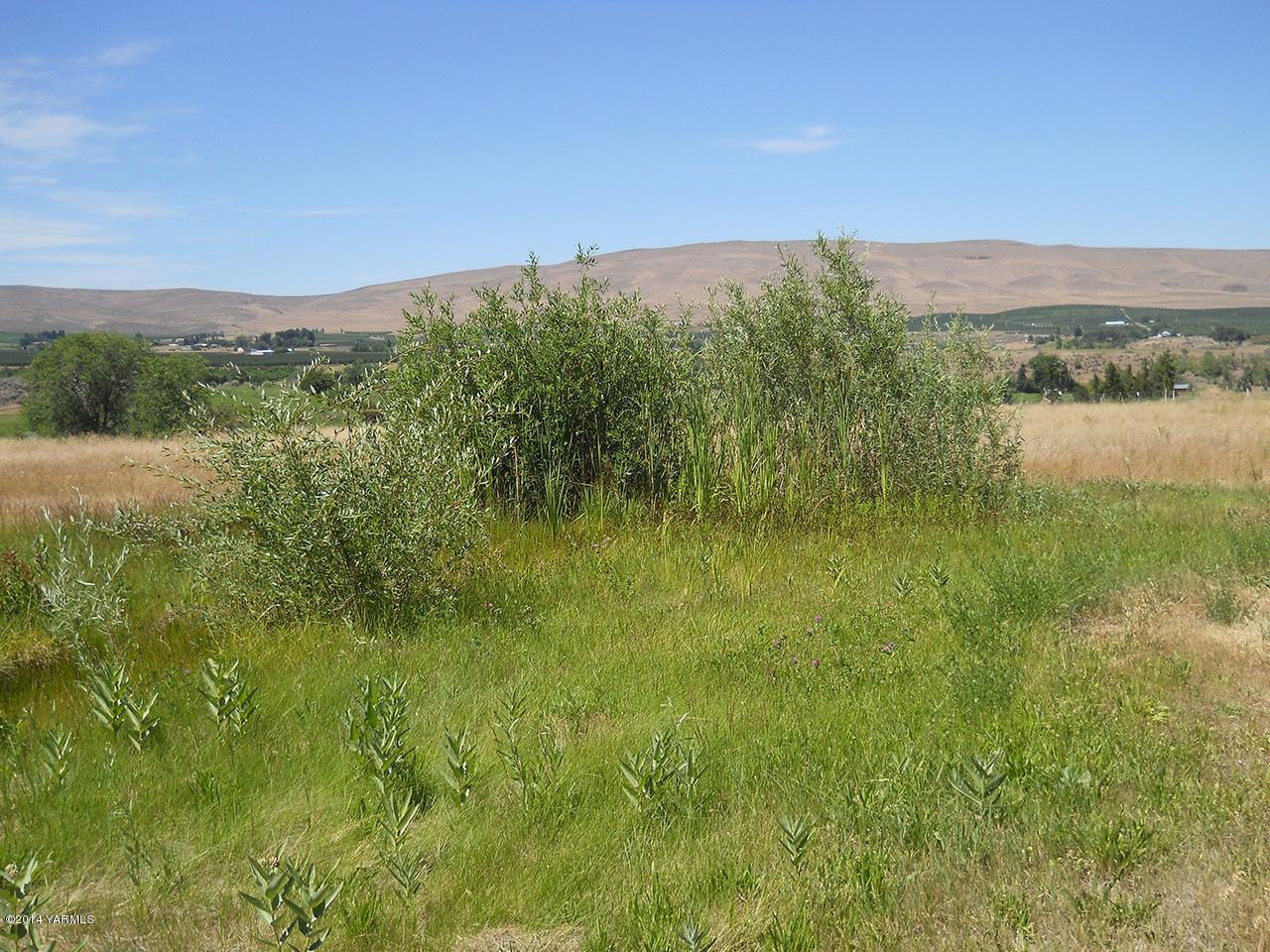 15601 Fisk Road Yakima, WA 98908 - Photo 49 of 58 a view of lake with green space