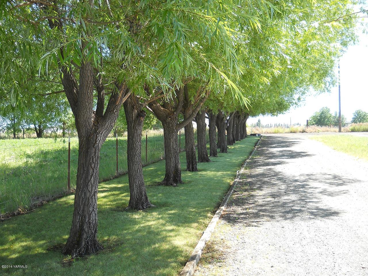 15601 Fisk Road Yakima, WA 98908 - Photo 6 of 58 a view of a yard with a trees