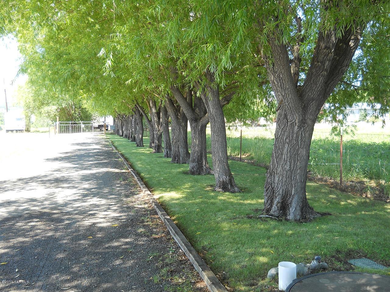 15601 Fisk Road Yakima, WA 98908 - Photo 51 of 58 a view of a backyard with large trees