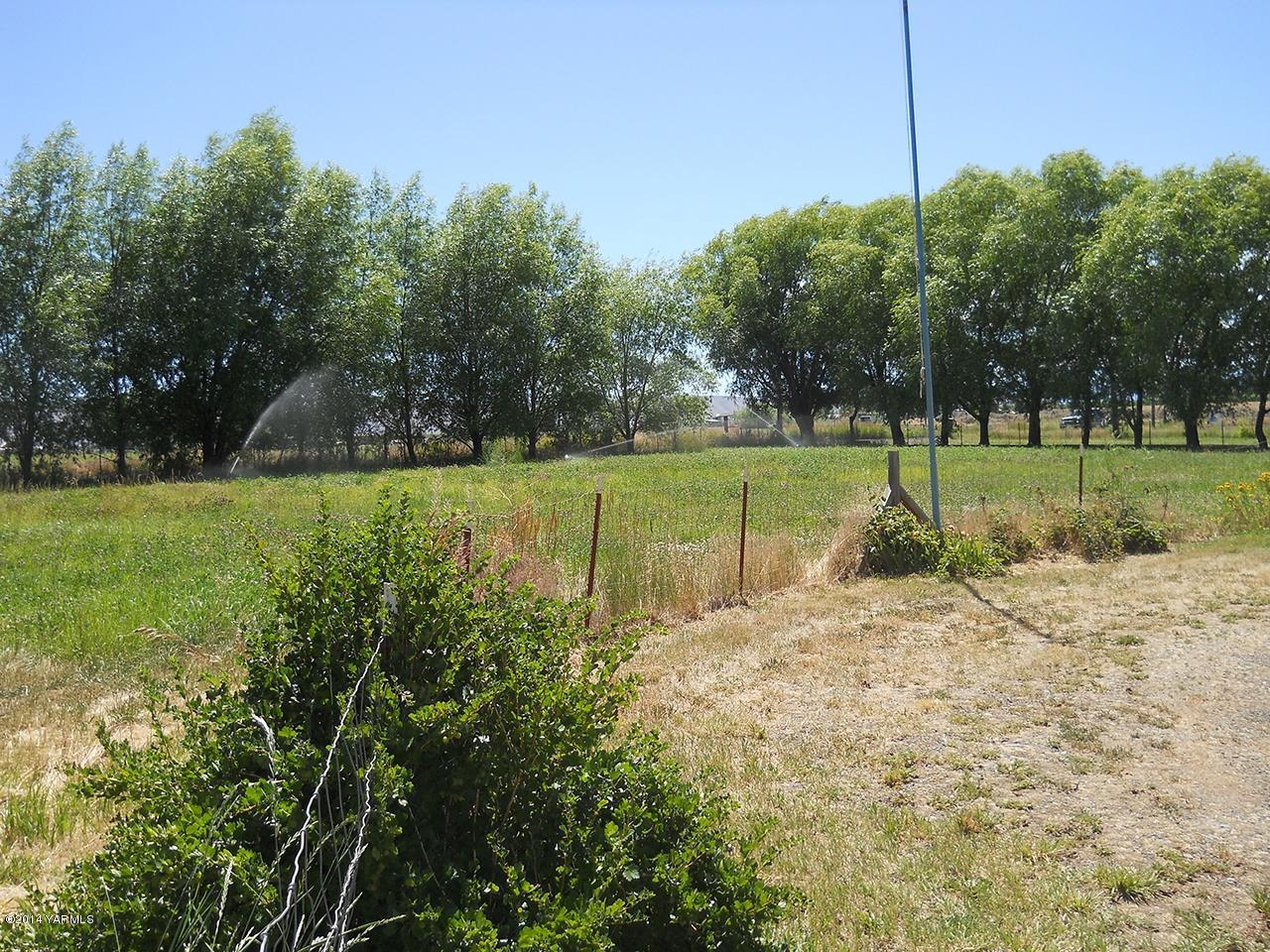 15601 Fisk Road Yakima, WA 98908 - Photo 53 of 58 a view of a yard with plants and trees