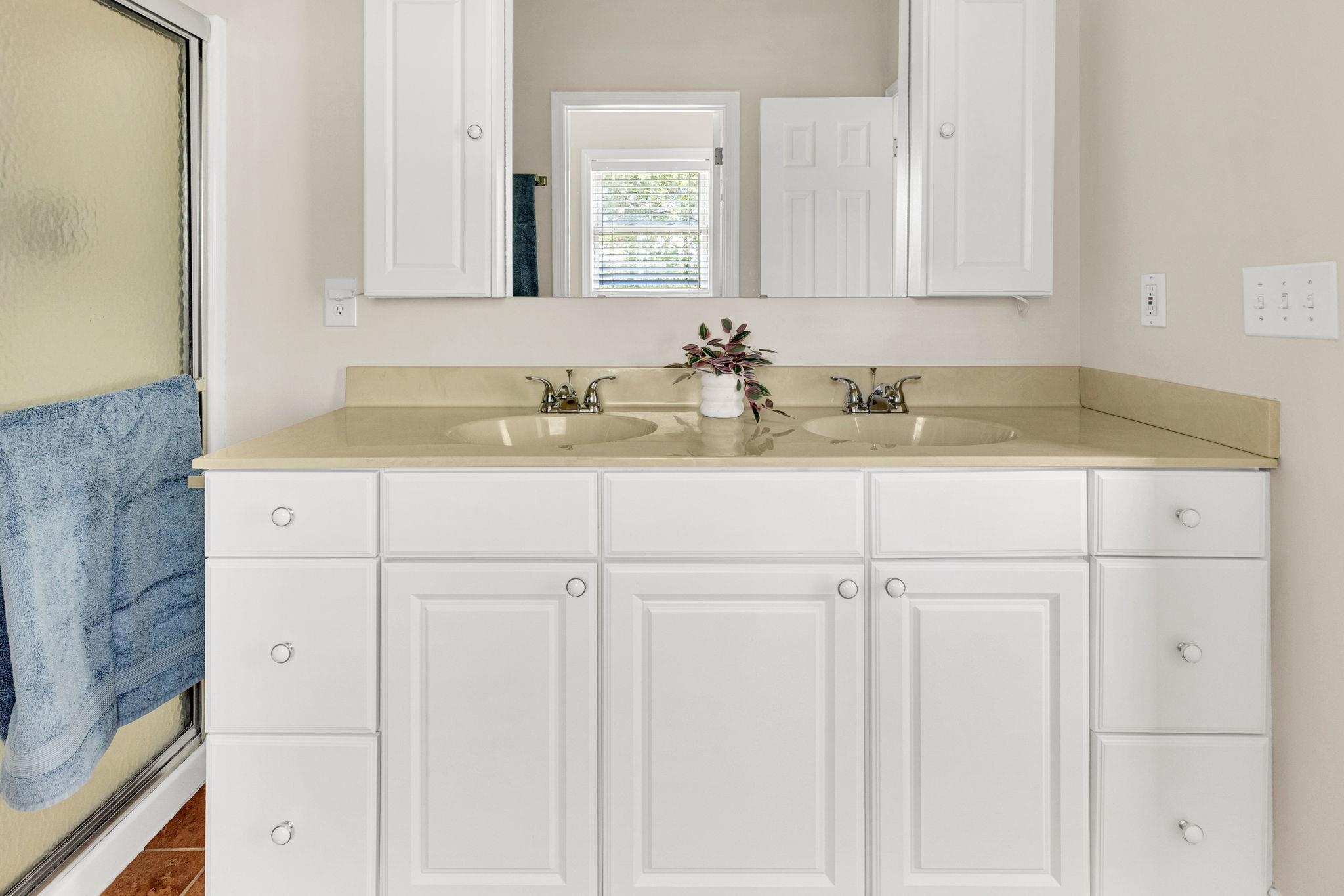 125 Lake Robinson Pointe Greer, SC 29651 - Photo 28 of 50