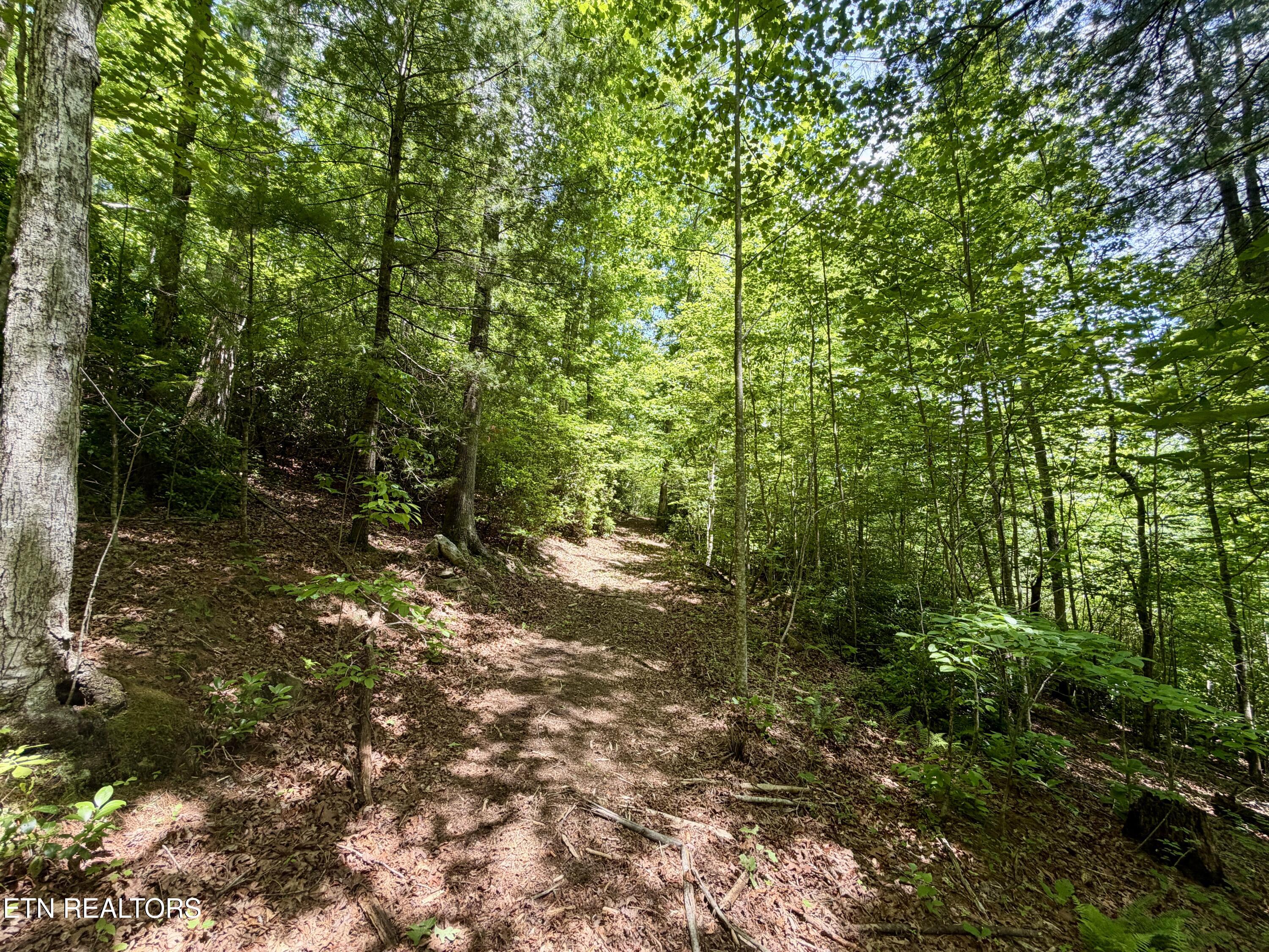1770 Buffalo Road Oneida, TN 37841 - Photo 54 of 57 72