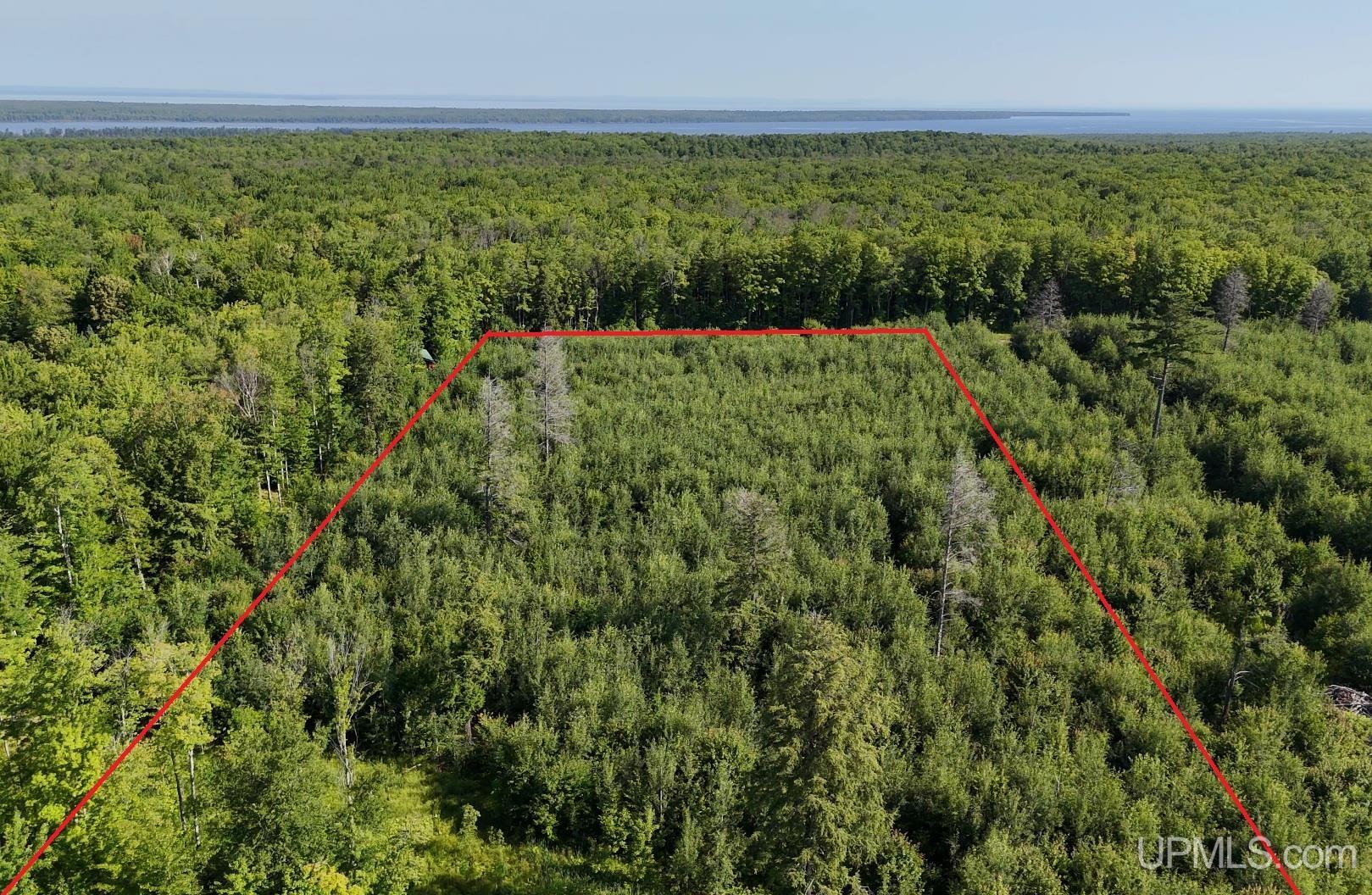 Tbda Nelson Road Skanee, MI 49962 - Photo 5 of 25 Gallery Image 5
