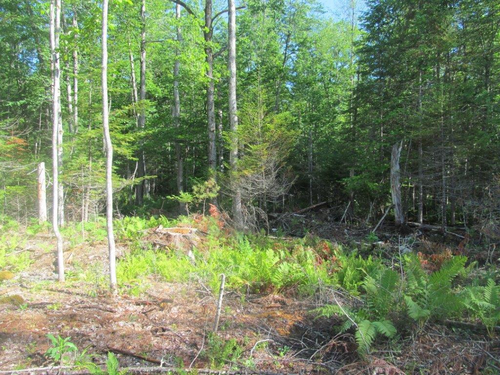 6 South Road Winthrop, ME 04364 - Photo 3 of 5 Me 080517 052