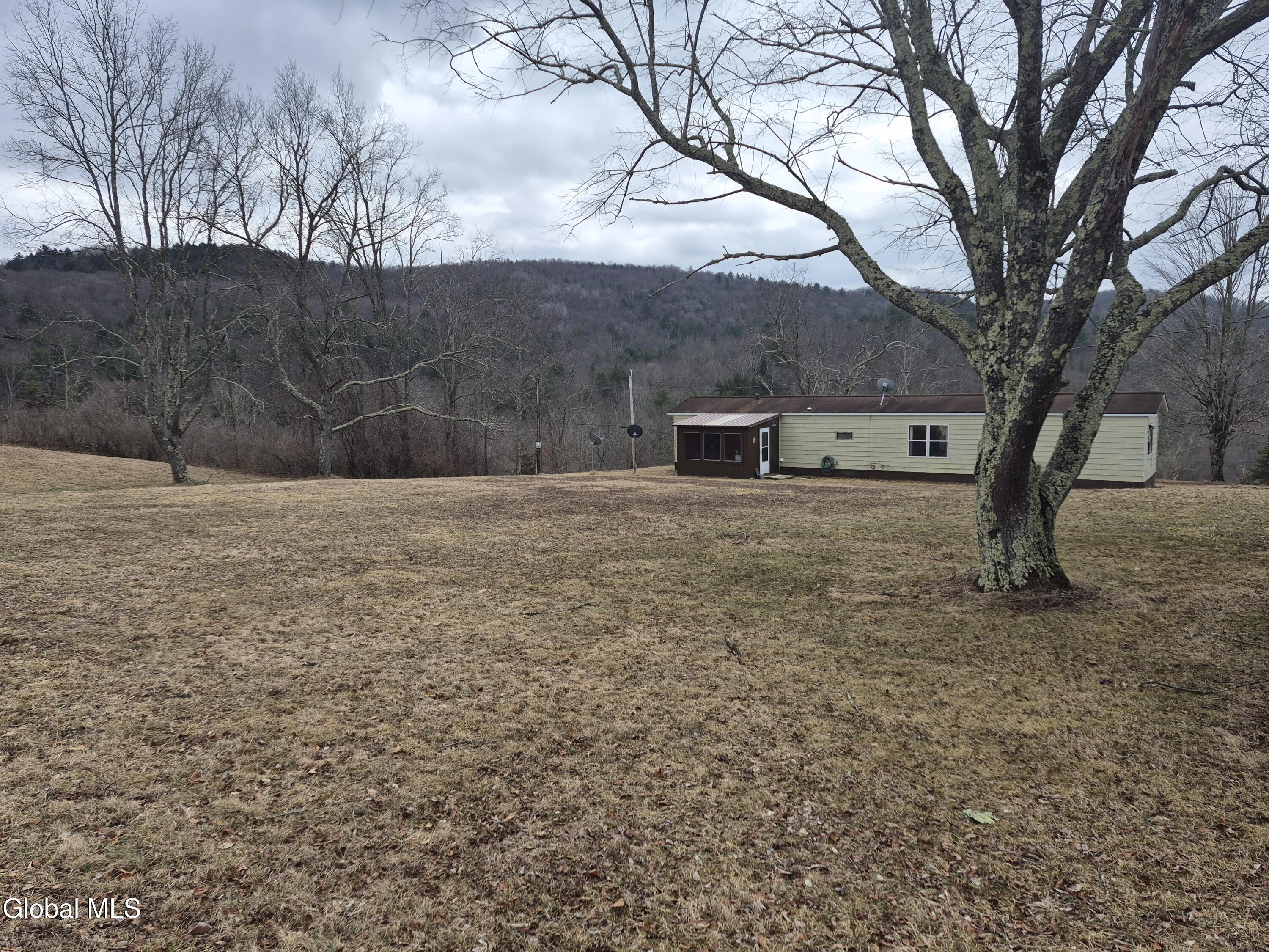793 Chamberlin Mills Road Salem, NY 12865 - Photo 16 of 27 Back yard