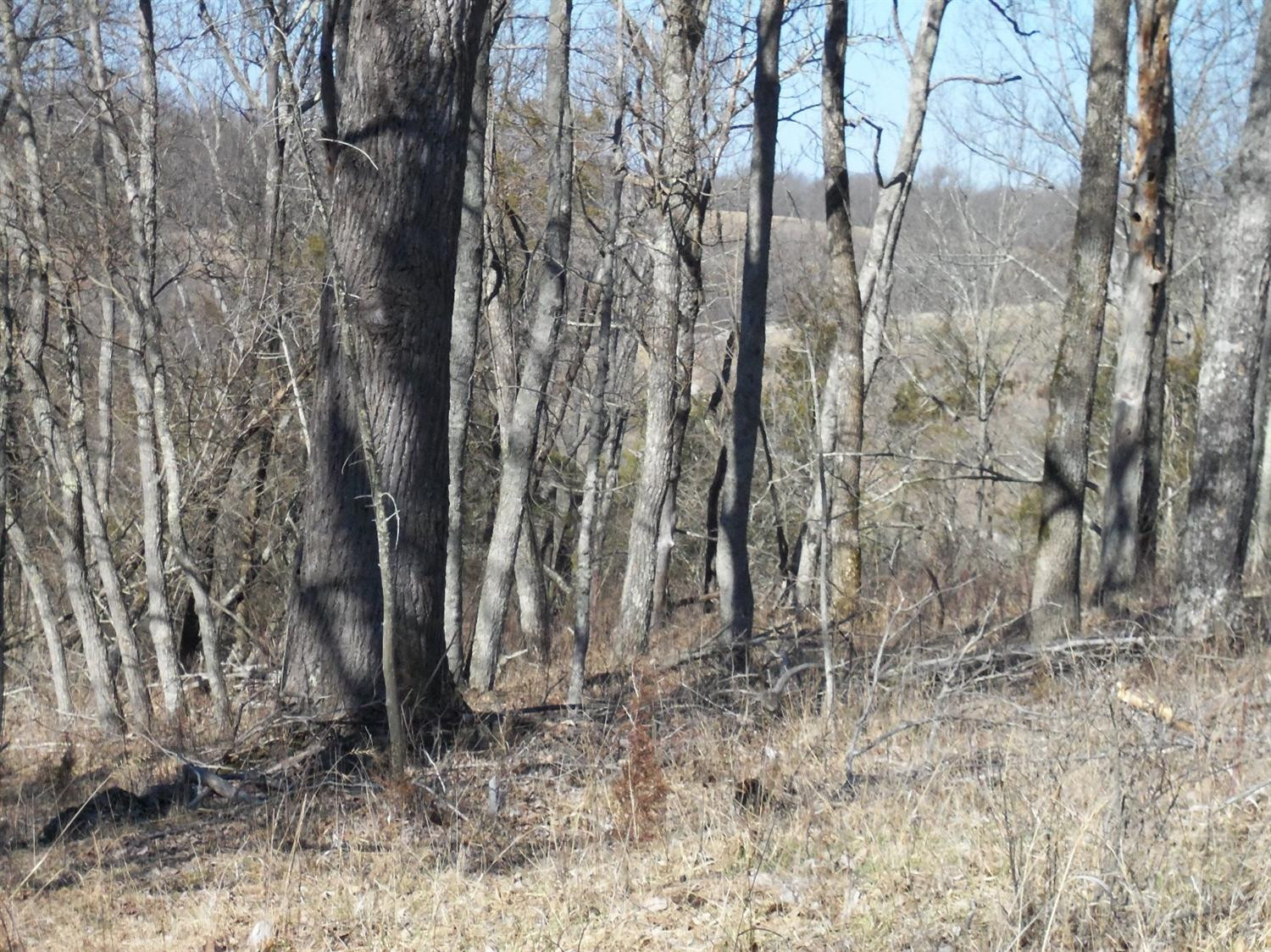 2486 Cedar Road Frankfort, KY 40601 - Photo 39 of 65 Photo 39
