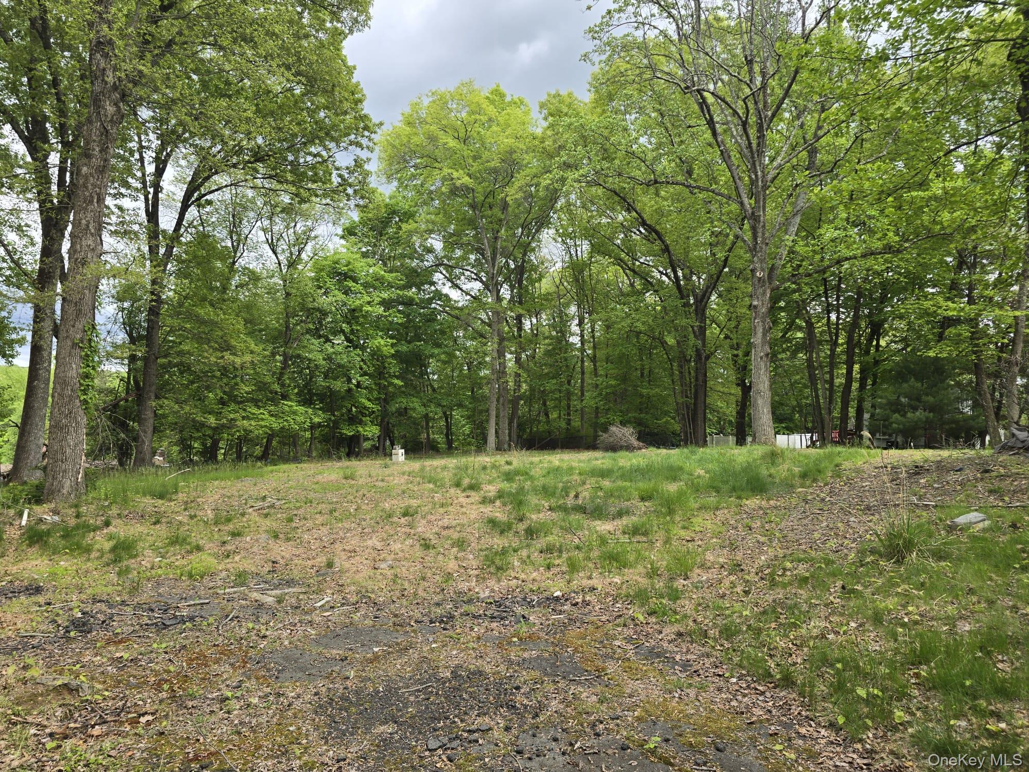 6 Jacqueline Road Monsey, NY 10952 - Photo 1 of 7