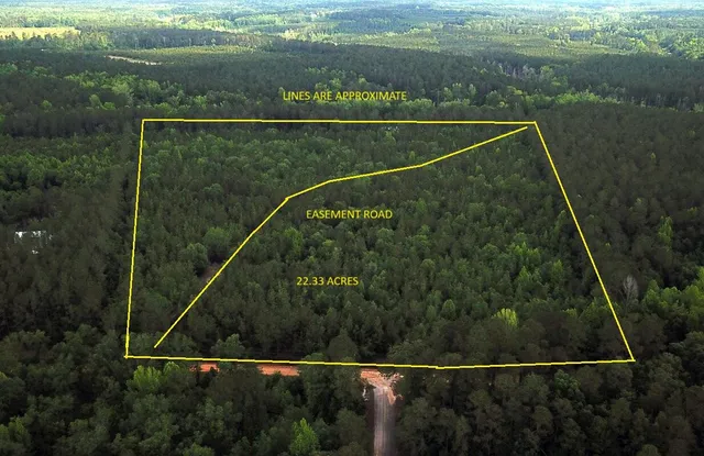 $160,000 | 0 Stacey Bridge Road, Orangeburg, SC 29118