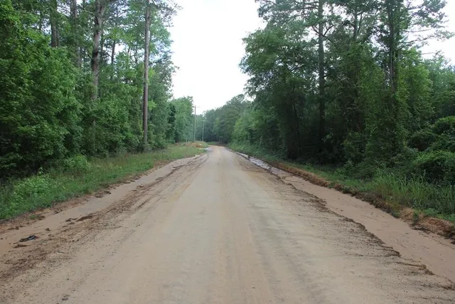 $160,000 | 0 Stacey Bridge Road, Orangeburg, SC 29118