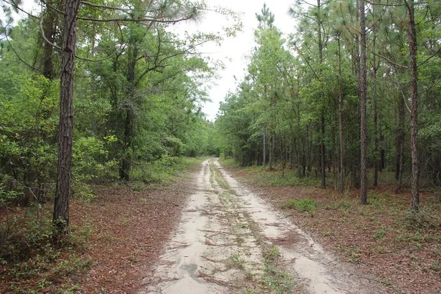 $160,000 | 0 Stacey Bridge Road, Orangeburg, SC 29118