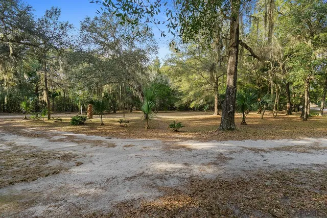 a view of outdoor space with trees