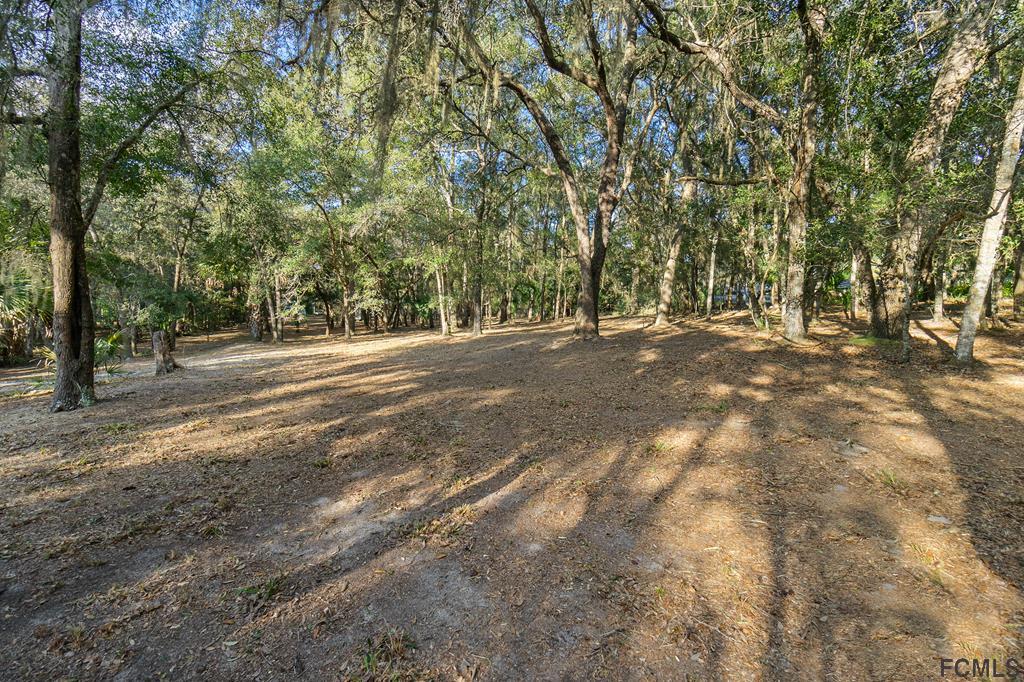 605 Faver Dykes Road St. Augustine, FL 32086 - Photo 4 of 12 a view of road and trees