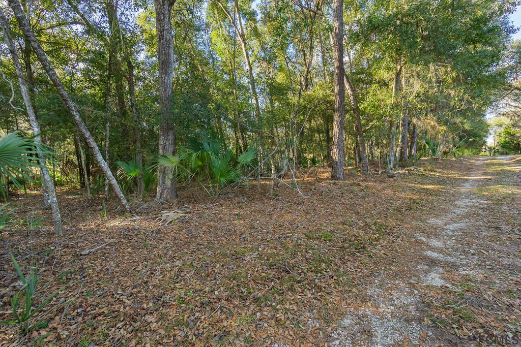 605 Faver Dykes Road St. Augustine, FL 32086 - Photo 5 of 12 a view of outdoor space with trees
