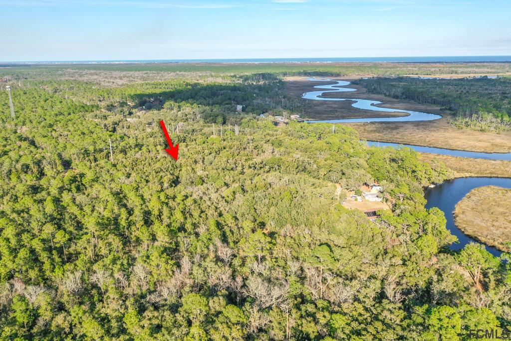 605 Faver Dykes Road St. Augustine, FL 32086 - Photo 9 of 12 a view of an ocean and a beach