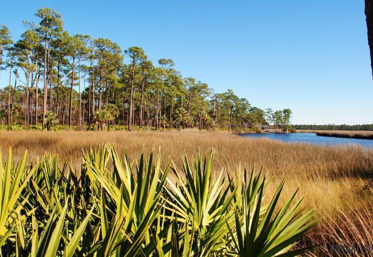 605 Faver Dykes Road St. Augustine, FL 32086 - Photo 10 of 12 a view of a lake view