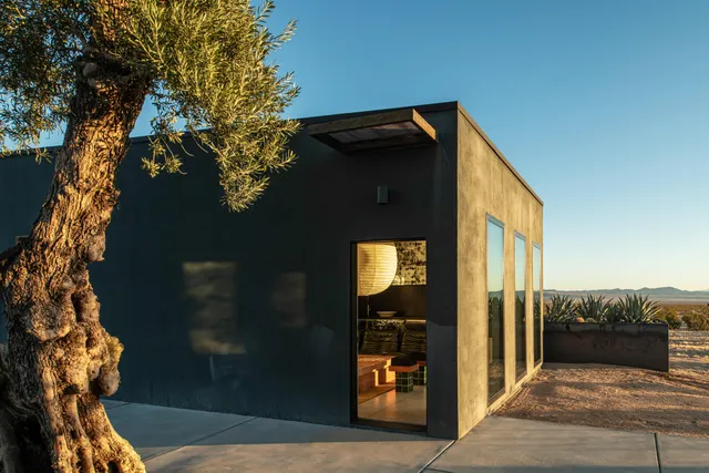 view of living room with furniture and a potted plant