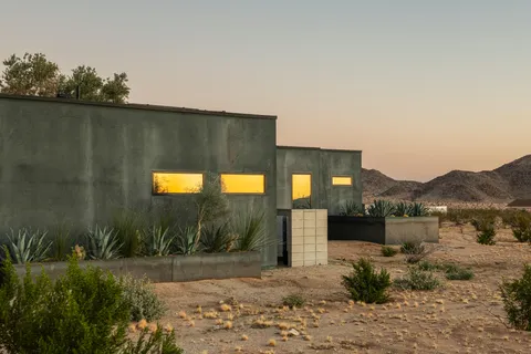 a view of a yard with potted plants