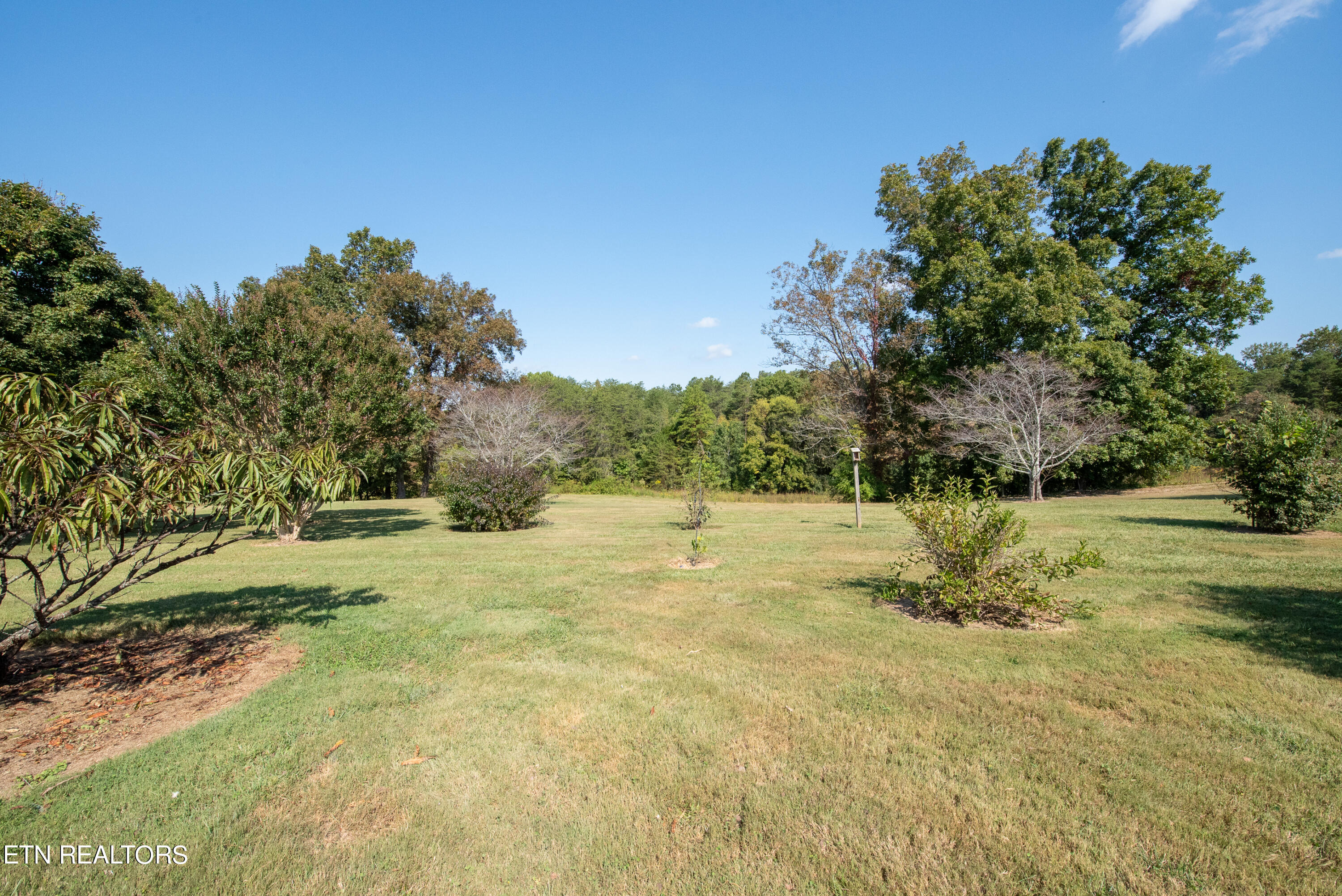 5003 Sevierville Road Seymour, TN 37865 - Photo 23 of 24 DSC_4131