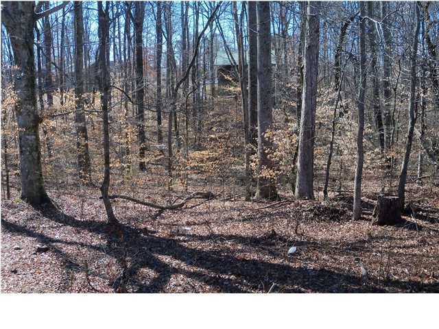175 Sam Johnson Road Georgetown, TN 37336 - Photo 14 of 17 Additional Photo