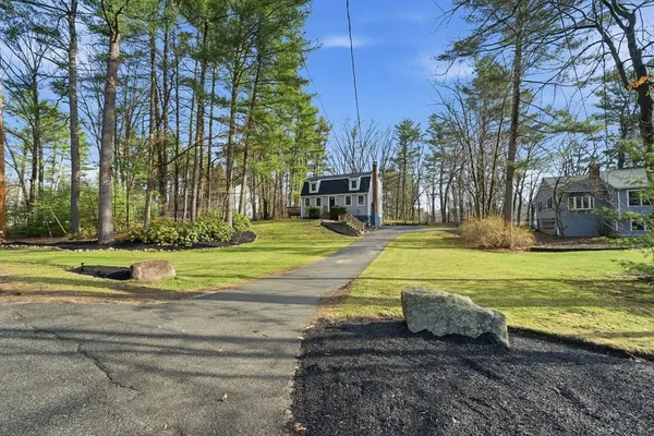 a view of a park with large trees