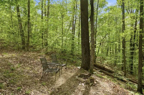 a view of outdoor space and garden